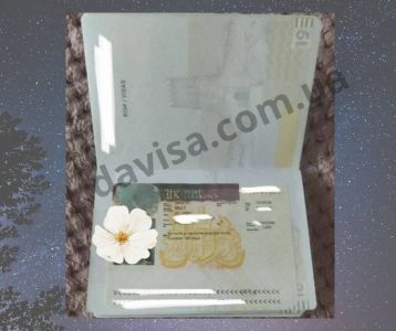 Відгуки про “Davisa, центр міграційної підтримки” - фото 2