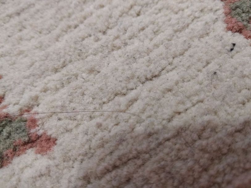 Відгуки про “Мойдодир, хімчистка” - фото 1