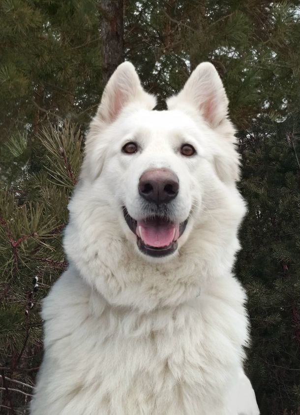 Відгуки про “Ескулап, ветклиника” - фото 1