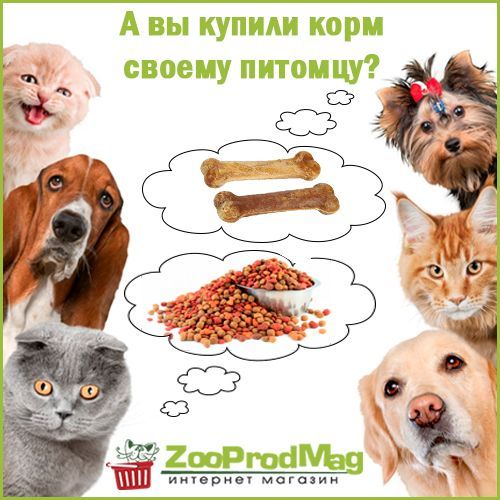 Відгуки про “Зоопродмаг, інтернет-магазин зоотоварів” - фото 1