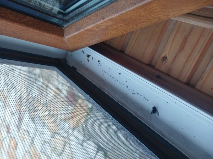 Відгуки про “Стоун Парк, база відпочинку” - фото 1