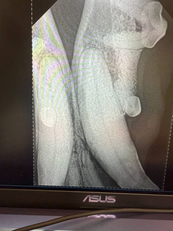 Відгуки про “На Робочій, ветеринарна клініка” - фото 1