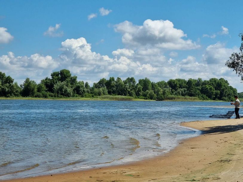 Відгуки про “Сосновий гай, база відпочинку” - фото 1