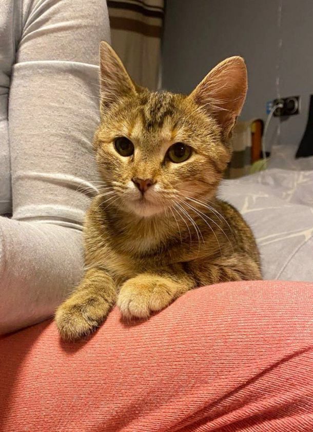 Отзывы о “Дискавери, ветеринарная клиника” - фото 1