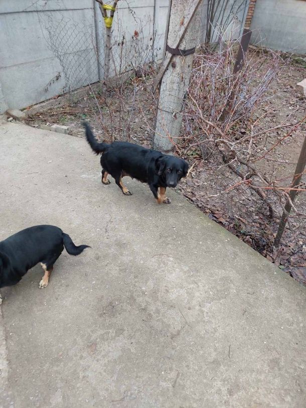 Відгуки про “Добродій, ветеринарна клініка” - фото 1