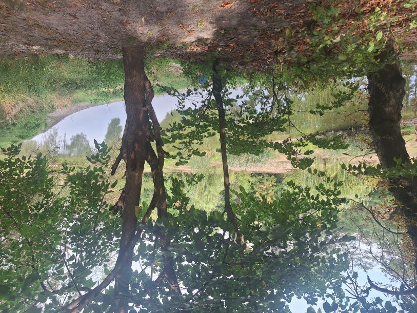 Відгуки про “Цікавий Київ, туристична агенція” - фото 1