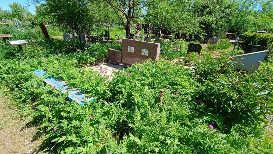 Відгуки про “Дерево Пам'яті, ритуальні послуги” - фото 2