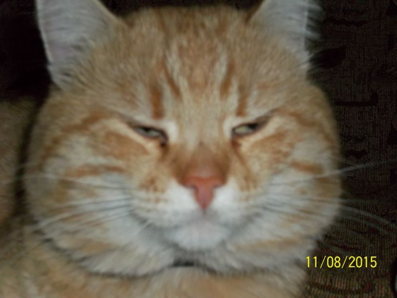 Відгуки про “Укртелеком, телекомунікаційні послуги” - фото 1