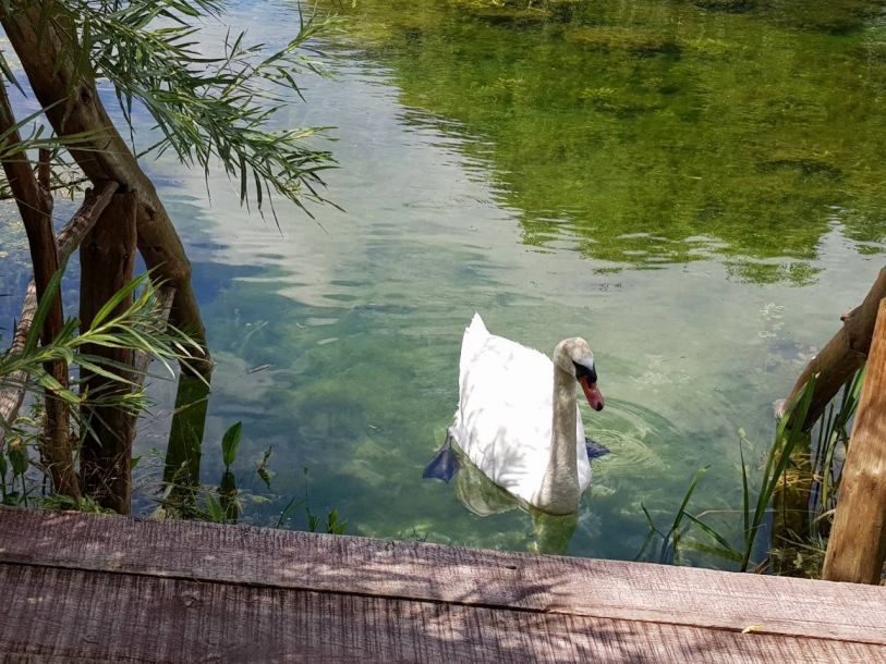 Відгуки про “Кайзерівка, відпочинковий комплекс” - фото 1
