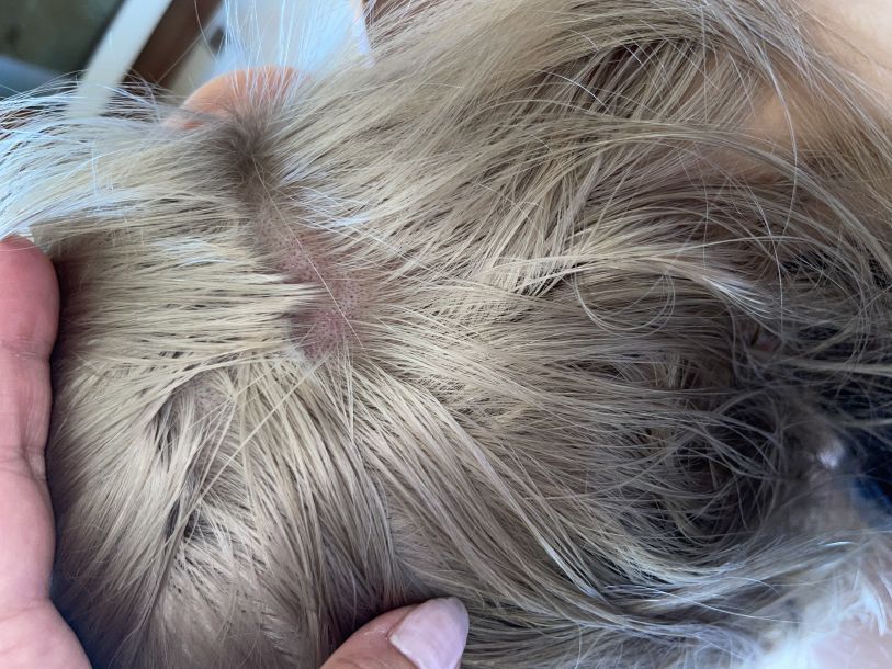 Відгуки про “У Пані лідії, перукарня” - фото 1