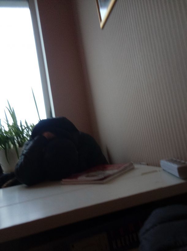 Отзывы о “Pol-tur, партнер польских вузов” - фото 1