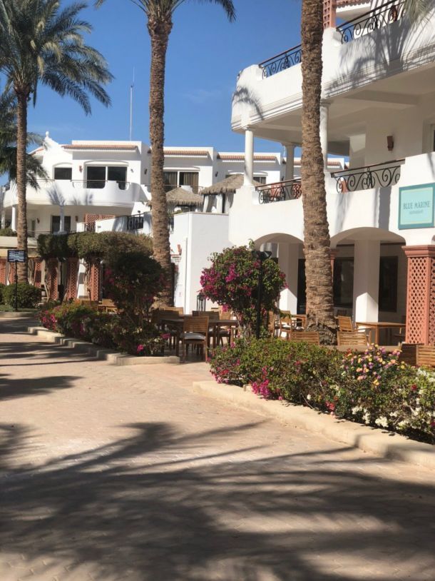 Відгуки про “Verma travel, туроператор” - фото 1