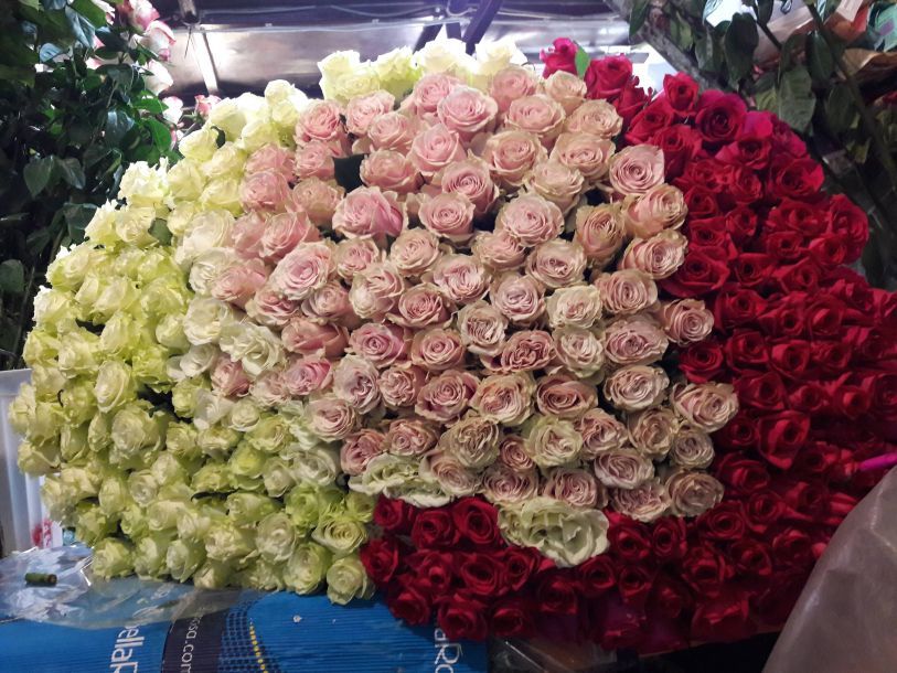 Відгуки про “7 троянд, оптово-роздрібний склад квітів” - фото 1