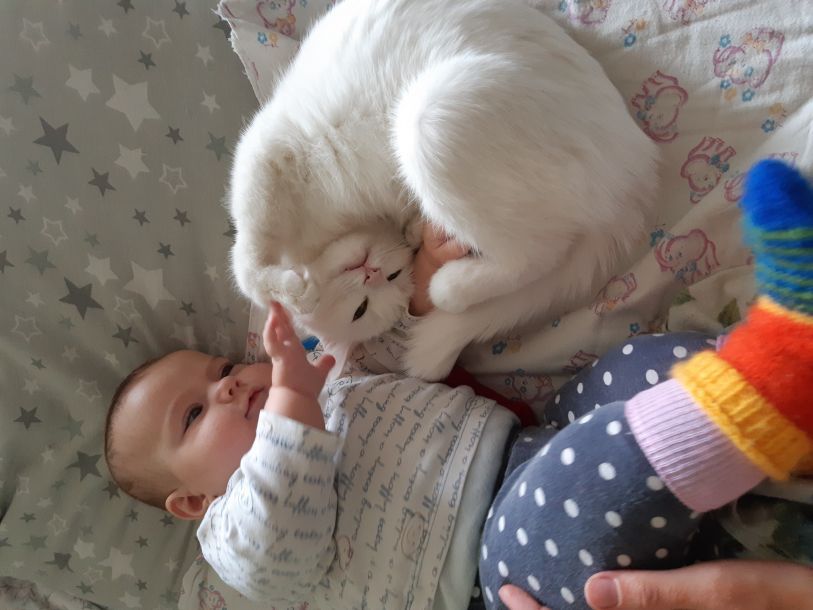 Отзывы о “Клинико-диагностический кабинет болезней мелких домашних животных” - фото 1