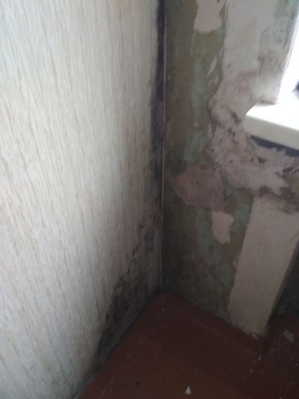 Відгуки про “Школа №13” - фото 1