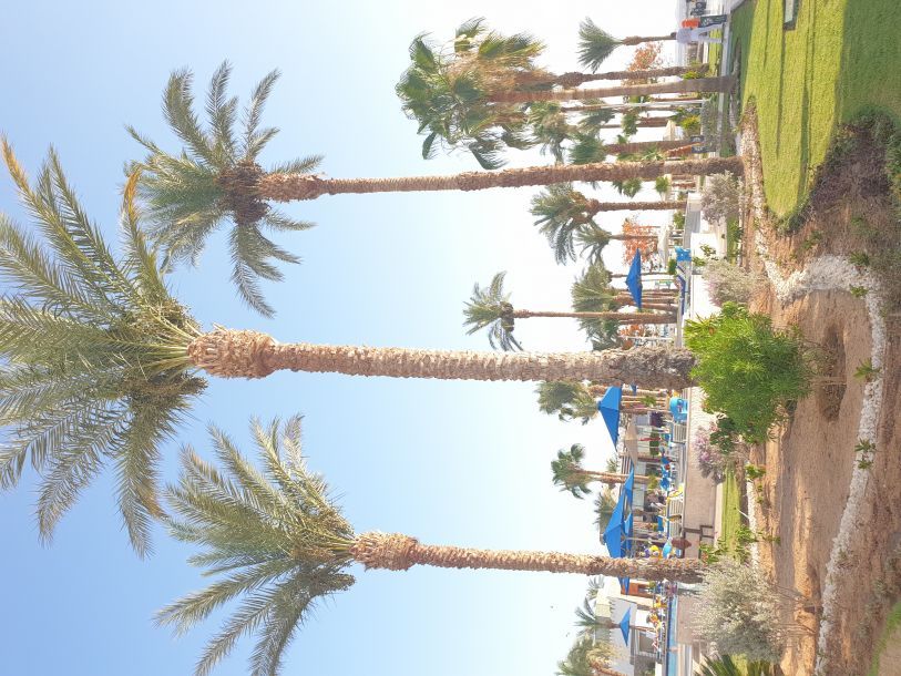 Відгуки про “Парадіз-Тур Люкс, туристичне агентство” - фото 1