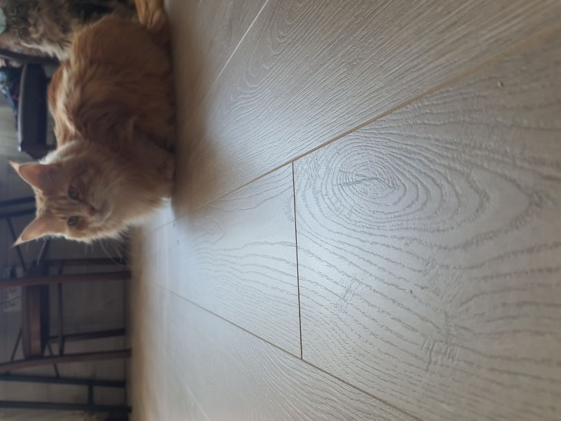 Відгуки про “Підлога Сервіс, магазин підлогових покриттів” - фото 1