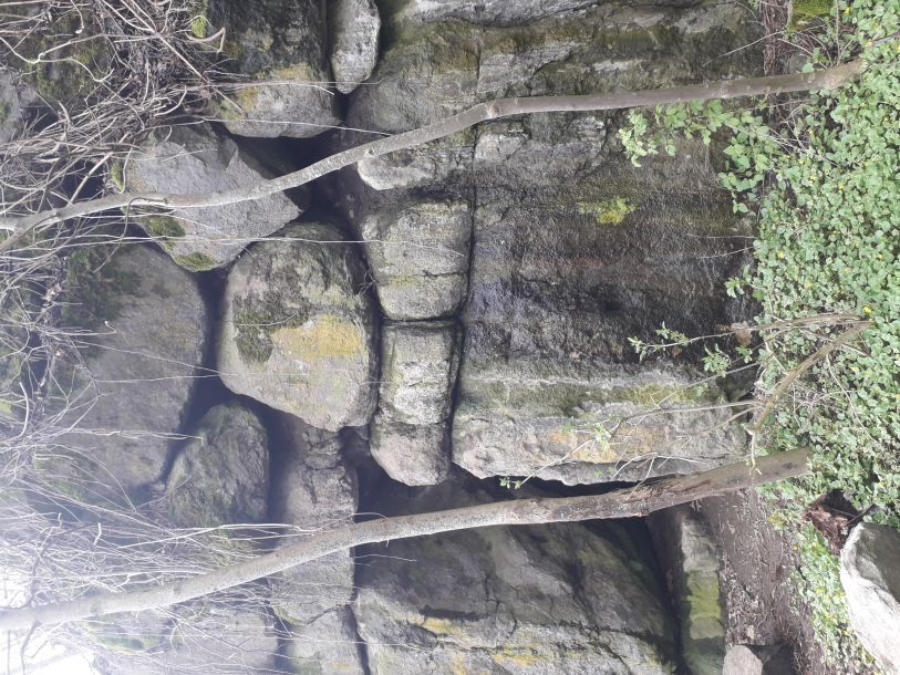 Відгуки про “Печерський Водограй, база відпочинку” - фото 1