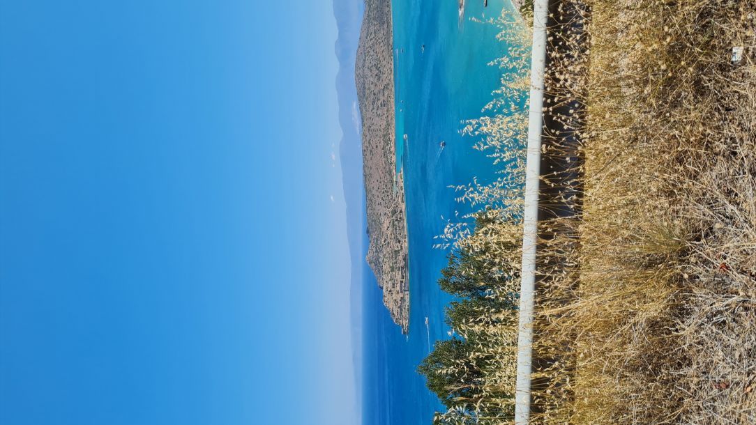 Відгуки про “Alpaca Travel, туристичне агентство” - фото 1