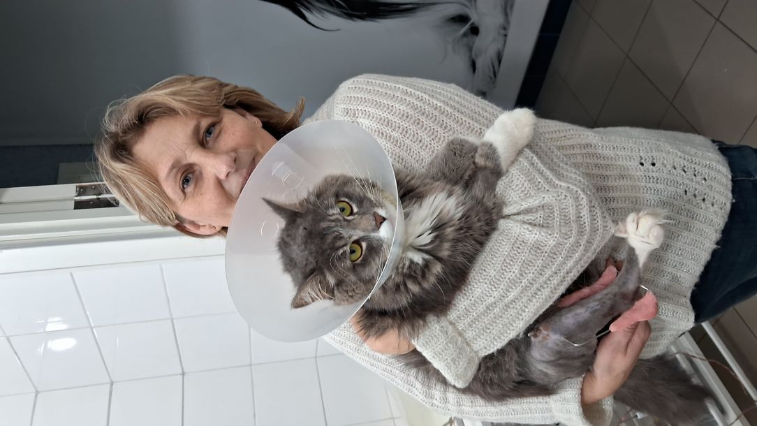 Відгуки про “Бобік, центр сучасної ветеринарної медицини” - фото 1