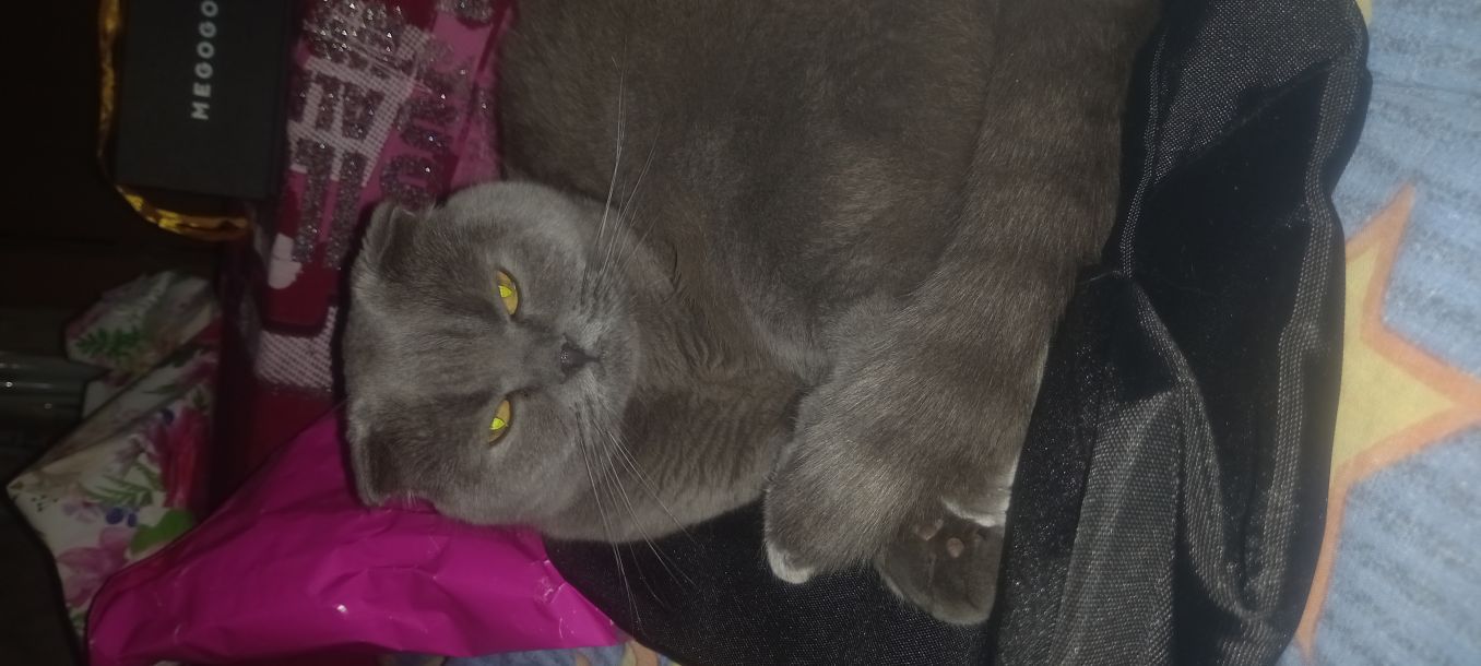 Відгуки про “Лікарня ветеринарної медицини” - фото 1