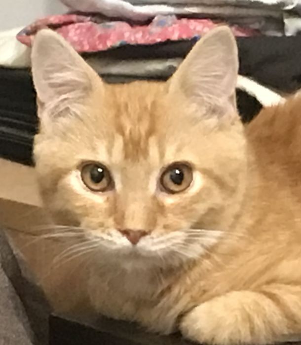 Відгуки про “ЛеМуррр, зоомагазин, ветеринарний кабінет” - фото 1