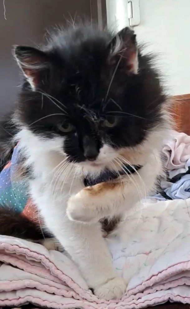 Відгуки про “Рекс, ветеринарна клініка” - фото 1