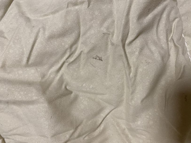 Відгуки про “Чистюля Євро, хімчистка” - фото 1