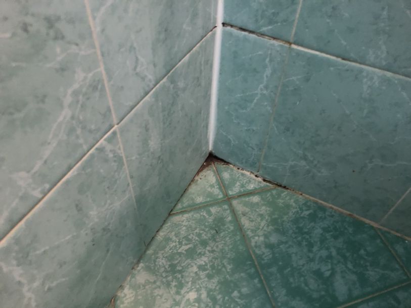 Відгуки про “InSky, туристичне агентство” - фото 1