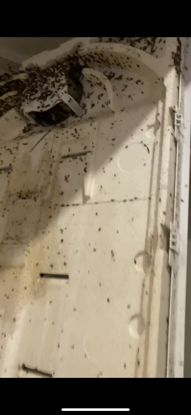 Отзывы о “Генералочка, клининговая компания” - фото 1