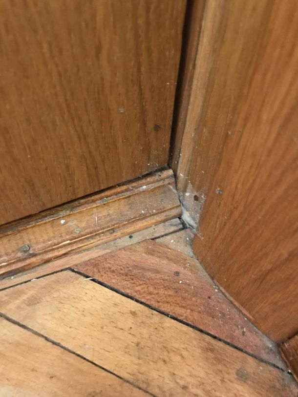 Відгуки про “Enot Сlean, клінінгова компанія” - фото 1