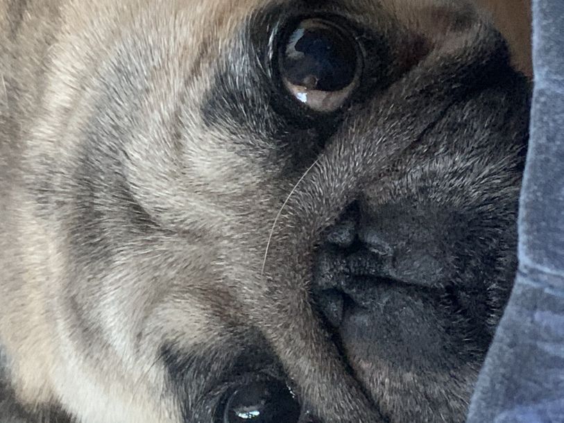 Відгуки про “Асті, ветеринарна клініка” - фото 1