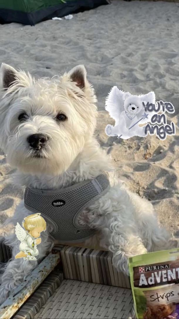 Відгуки про “Vethouse, ветеринарна клініка” - фото 1