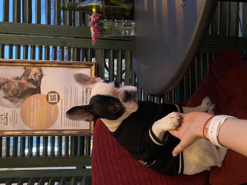 Відгуки про “Cipolle Pizza Bar, піцерія” - фото 1