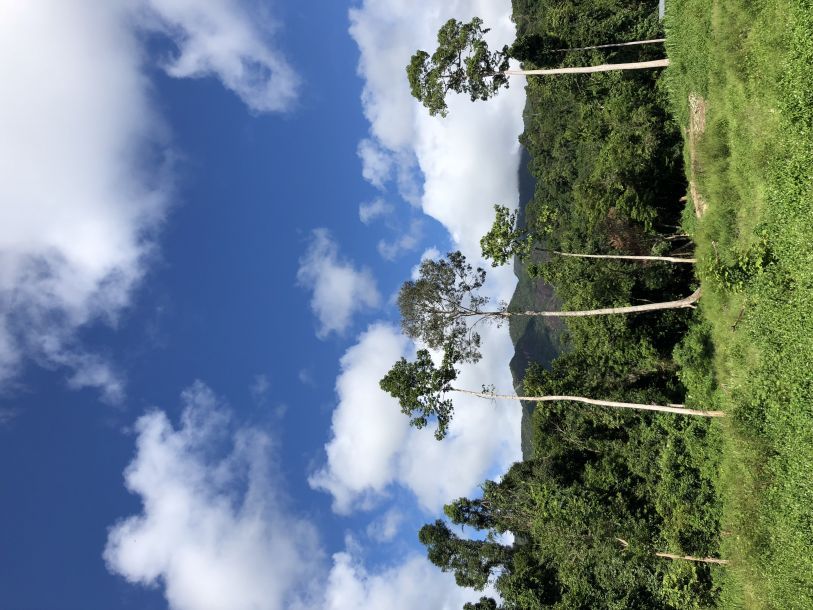 Отзывы о “Didi tour, туристическое агентство” - фото 1