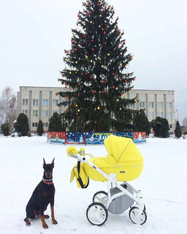 Отзывы о “iBaby ua, магазин-склад товаров для младенцев” - фото 1