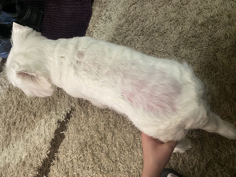 Відгуки про “У Юти, зоомагазин” - фото 1