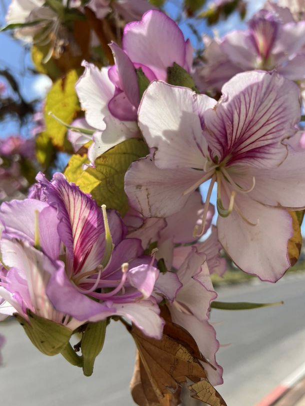 Отзывы о “ElitSTim, современные натяжные потолки” - фото 1