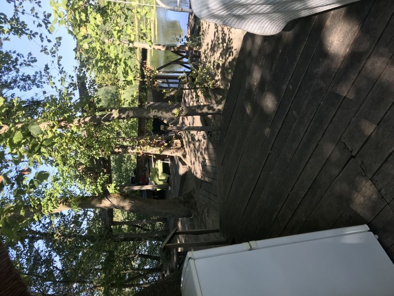 Відгуки про “Дивний Острів, база відпочинку” - фото 1