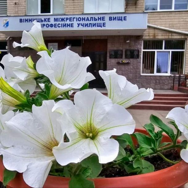 Відгуки про “Вінницьке міжрегіональне вище професійне училище” - фото 1