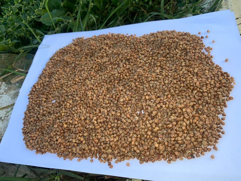 Відгуки про “Екор, круп'яний завод” - фото 1