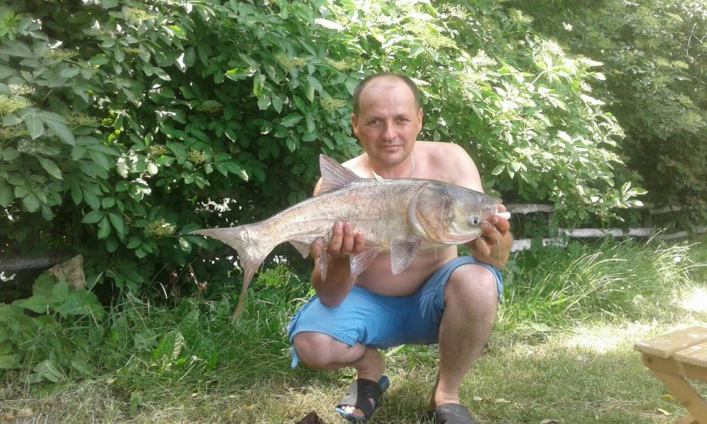 Отзывы о “Поплавок, комплекс отдыха” - фото 1