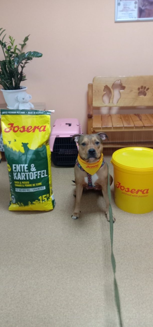 Відгуки про “Ілона, ветеринарна клініка” - фото 1