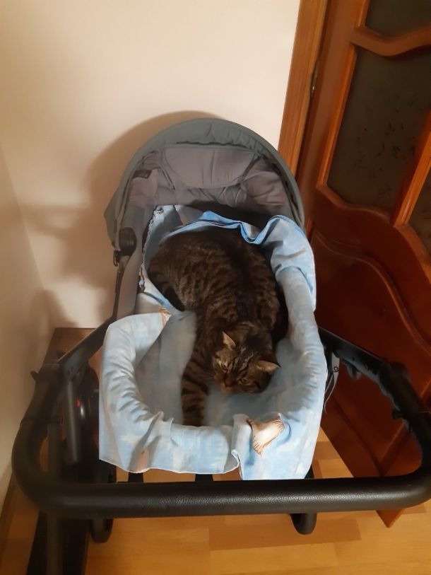 Відгуки про “ВетМір, ветеринарна клініка” - фото 1