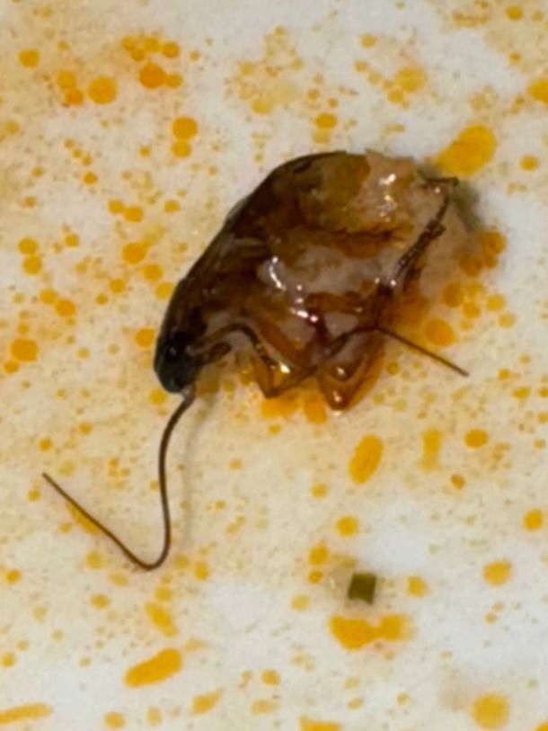 Відгуки про “Драйв, кафе-бар” - фото 1