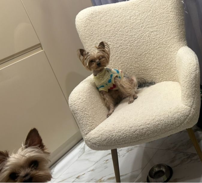 Відгуки про “Animal Hospital, ветеринарна клініка” - фото 1