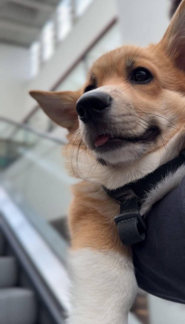 Відгуки про “King Cross Leopolis, ТРЦ” - фото 1