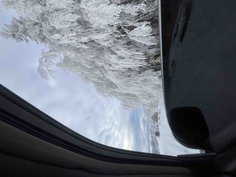 Отзывы о “Стрельбицкая Н.И., турагентство НИКА-ТУР-ВОЯЖ” - фото 2