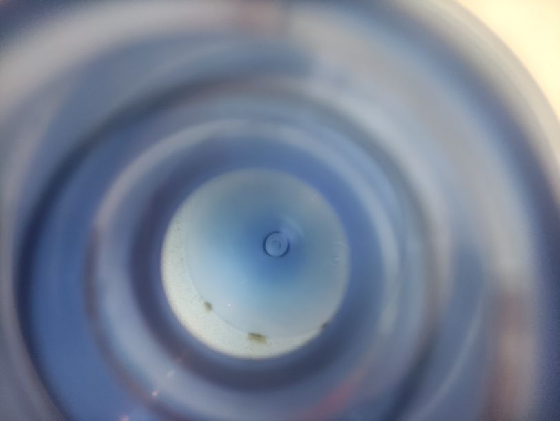 Отзывы о “Водолей, доставка воды” - фото 1