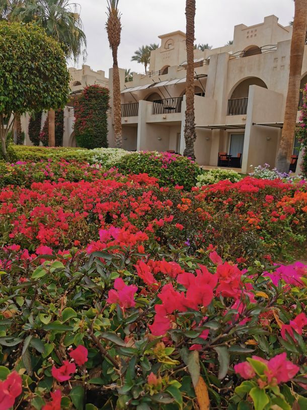 Отзывы о “Виктория Тур, туристическое агентство” - фото 1